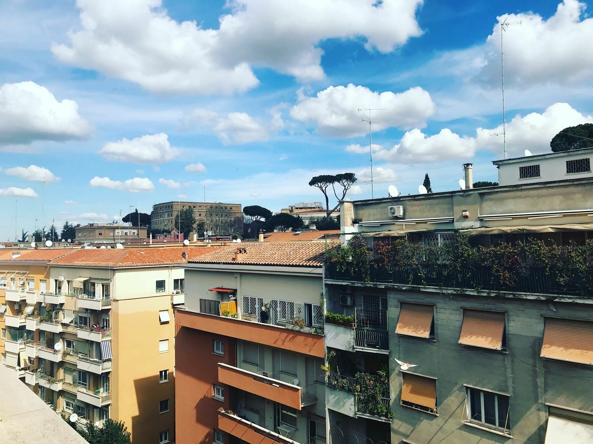 Charming Vatican Daire Roma Dış mekan fotoğraf